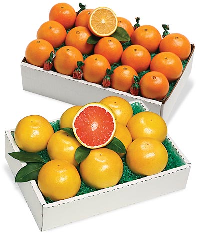 Navel Oranges and/or Indian River Grapefruit from Al's Family Farms