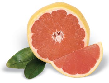 Flame Grapefruit