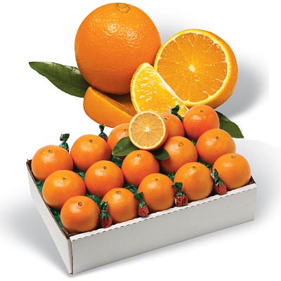 Navel Oranges from Al's Family Farms