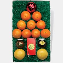 Citrus Tree Box