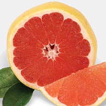 Flame Grapefruit