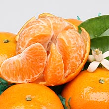 Al's Family Farms Honey Tangerines