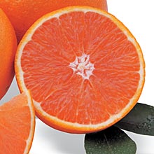 Christmas Red Navel Oranges