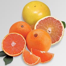 Christmas Red Navel Oranges