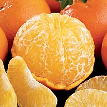 Temple Tangerines