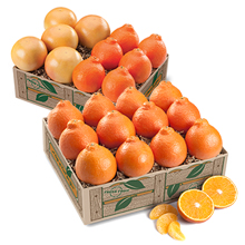 Western Honeybells