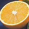 Valencia Oranges