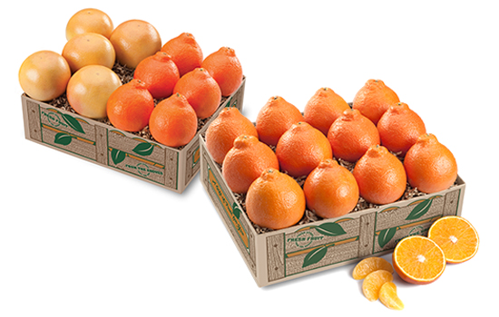 Western Honeybells